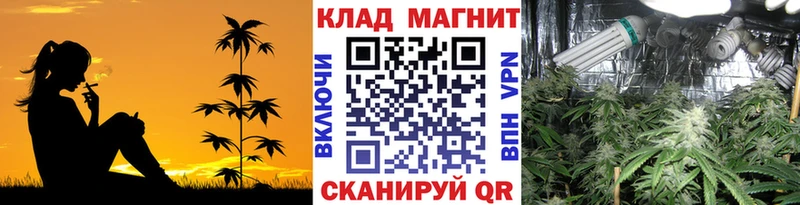 Какие есть наркотики Люберцы Галлюциногенные грибы  СОЛЬ  ГАШИШ  МЕФ  Cocaine 