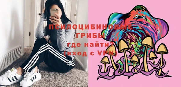 амф Алзамай