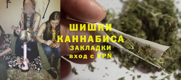 шишки Аркадак