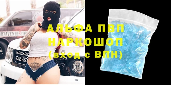 шишки Аркадак